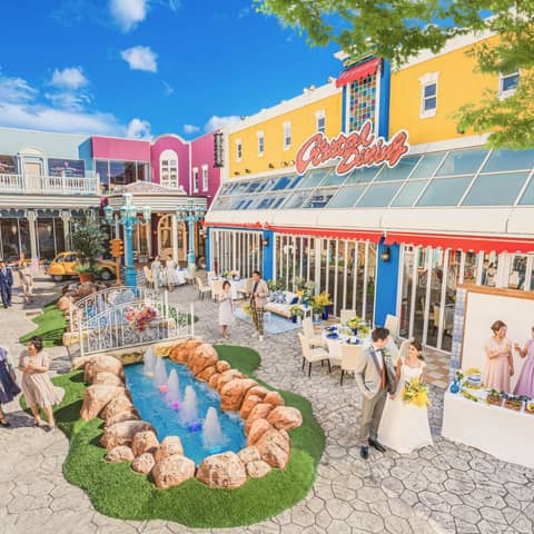 【自己負担0円応援!】2026年3月までの限定プラン(40名)