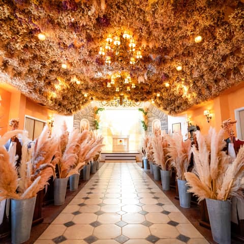 【自己負担0円応援!】2026年3月までの限定プラン(40名)