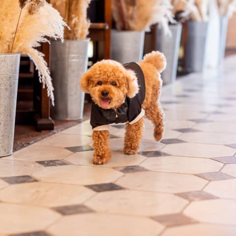 【大切なご家族様だけで】挙式のみプラン(10名)