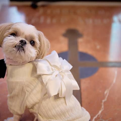 【公式】埼玉グランドホテル深谷 |埼玉のホテルで叶う!美食と共に過ごす結婚式