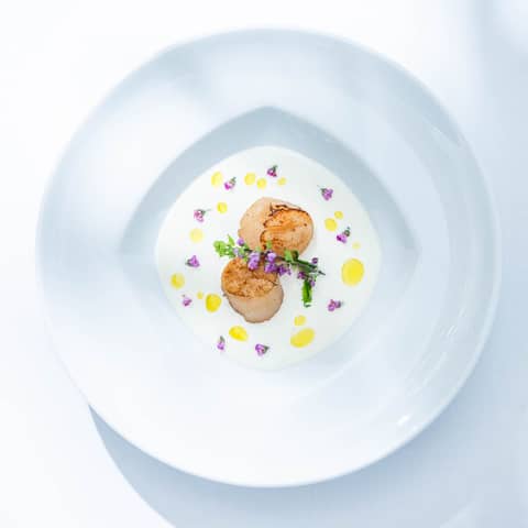 【26年1~3月結婚式】新春限定の特別プラン”全天候型ガーデン”