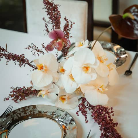 【2026年9月-1月|70名:291万円】大人数の方向けプラン