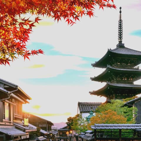 【神社婚プラン|40名217万円】日本伝統の神前式が叶う通年適用プラン