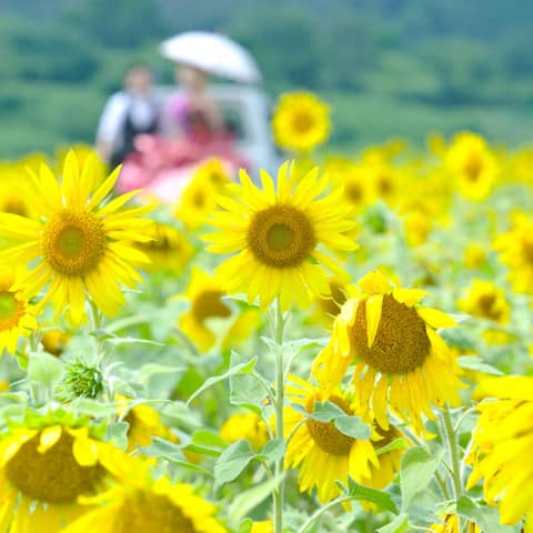 グランシア須賀川