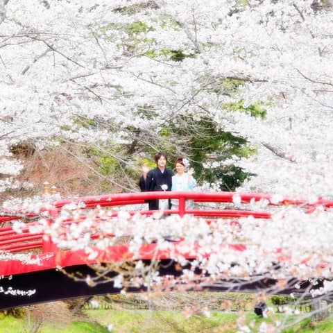 【想いでに写真を残したい方必見】フォトウェディング和装プラン