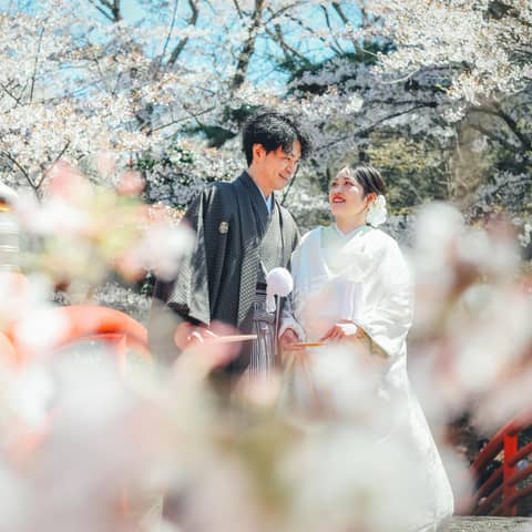 【超人気シーズン!】2027年3~5月限定!桜ロケーション撮影も!
