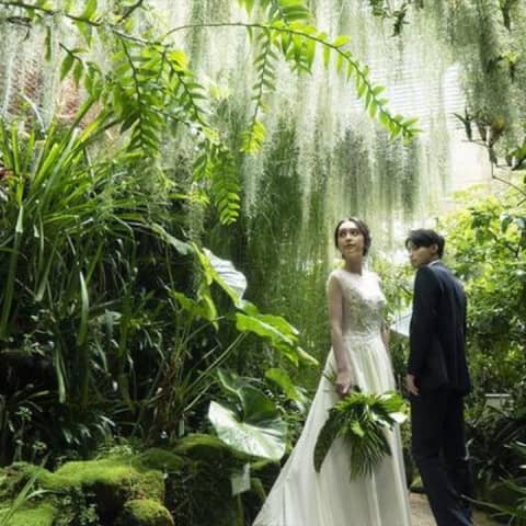 【14.7万円~】東山動植物園ロケーションフォトウェディングプラン