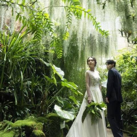 動物と一緒や植物園内で撮影ができるオリジナルフォトWプラン