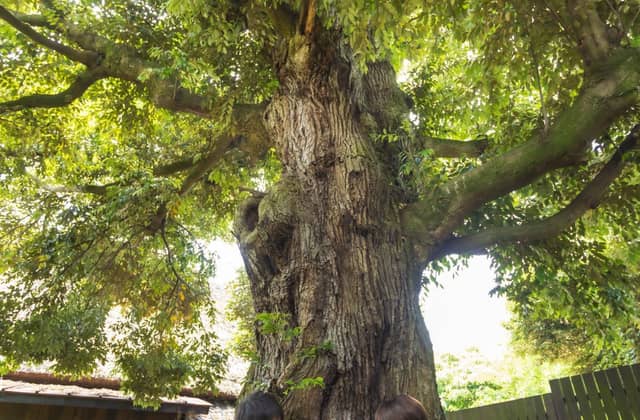 藤右ェ門WEDDING(国登録有形文化財)|茨城県つくば市の1棟貸切古民家レストラン