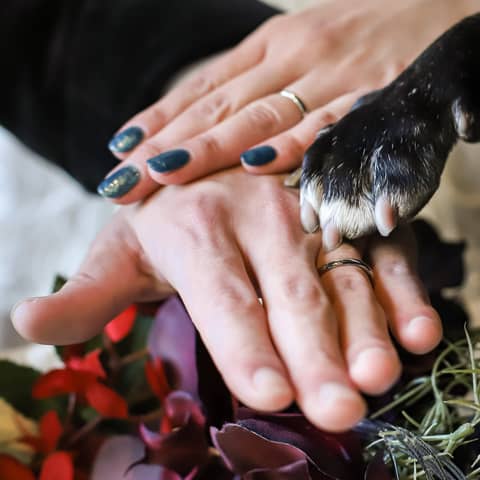 【WITHペット婚】大切な愛犬とずっと一緒に過ごせるプラン