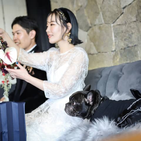 【WITHペット婚】大切な愛犬とずっと一緒に過ごせるプラン