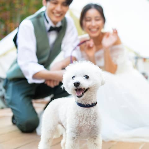 【公式】関西・奈良の結婚式場 アールベルアンジェ奈良