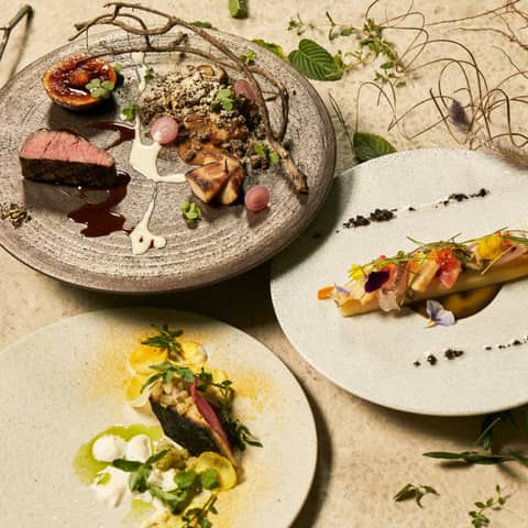 THINGS Aoyama Organic Garden.dth/東京 表参道・南青山の結婚式場