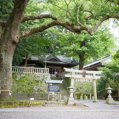つま恋の結婚式|つま恋リゾート 彩の郷【公式】