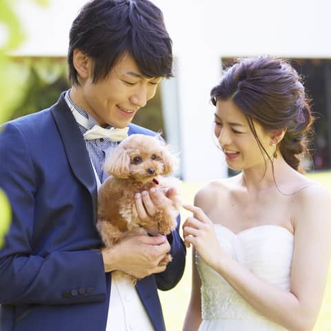 つま恋の結婚式|つま恋リゾート 彩の郷【公式】