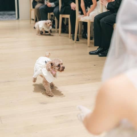 MIRAIE Wedding|ミライエウエディング|結婚式場