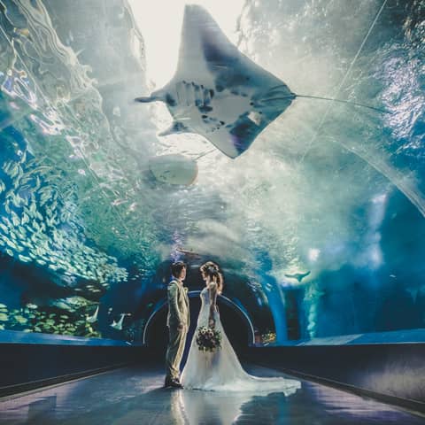 【公式】TABLE 9 TOKYO ウエディング│品川駅徒歩2分の結婚式場