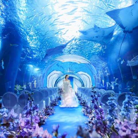 【公式】TABLE 9 TOKYO ウエディング│品川駅徒歩2分の結婚式場