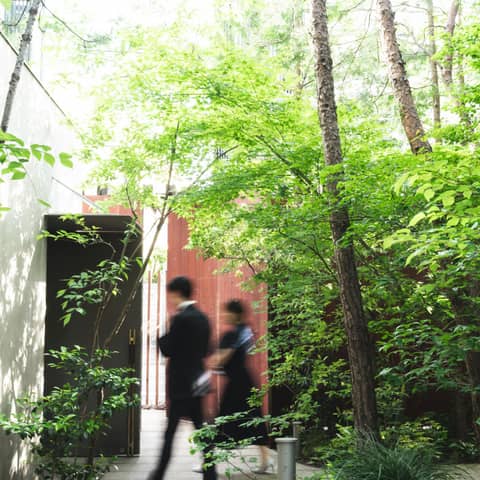 都心で感じる緑×表参道駅から徒歩5分の好立地<60名445万円~>