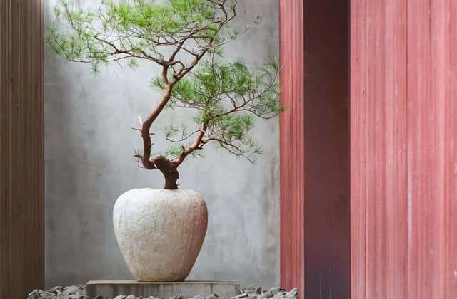 IWAI OMOTESANDO(イワイオモテサンドウ)|表参道・東京|結婚式場 ウェディング