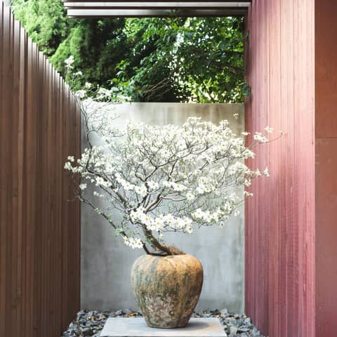 【家族・少人数婚限定】直近の日程もご案内可能◎ <20名 240万円>