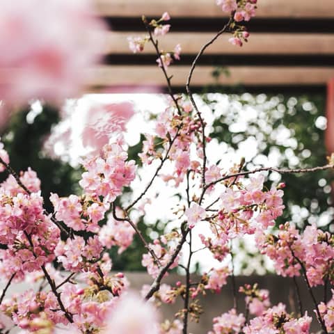 《最大100万円特典プラン!》50名*430万円→320万円!