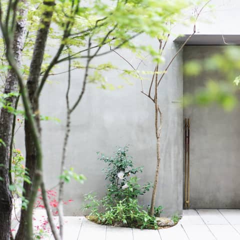 《ご衣裳&フォトプレゼントプラン!》50名*430万円→355万円!