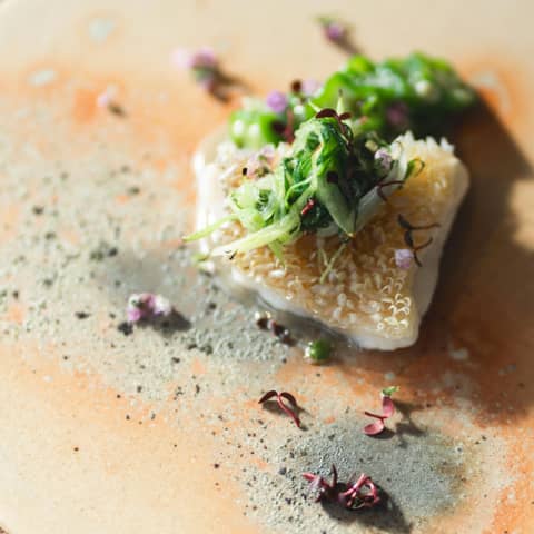 IWAI OMOTESANDO(イワイオモテサンドウ)|表参道・東京|結婚式場 ウェディング