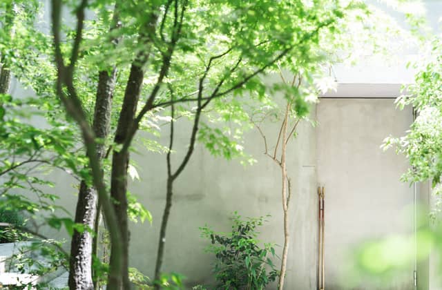 IWAI OMOTESANDO(イワイオモテサンドウ)|表参道・東京