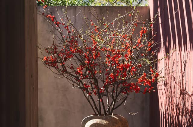 IWAI OMOTESANDO(イワイオモテサンドウ)|表参道・東京|結婚式場 ウェディング