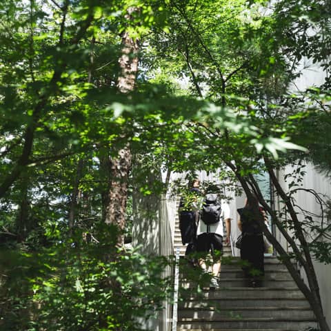 都心で感じる緑×表参道駅から徒歩5分の好立地<60名445万円~>