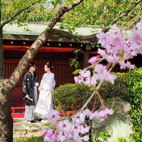 【桜の季節◆平日限定10万円OFF】神社ロケーション撮影プラン