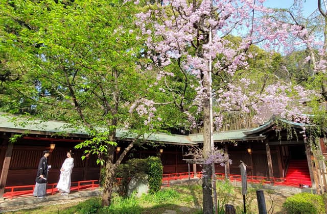 代々木八幡宮(アントワープブライダル)|東京 代々木 神社挙式【公式】