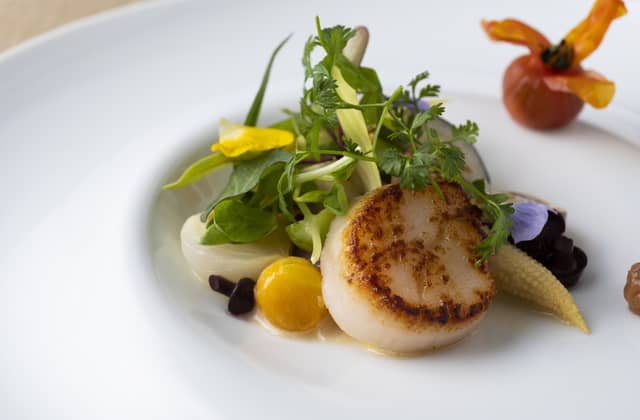 代々木八幡宮(アントワープブライダル)|東京 代々木 神社挙式【公式】