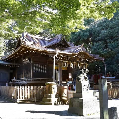 【代々木八幡宮】東京の神前式で上質なアンティーク和装を|【公式】アントワープブライダル