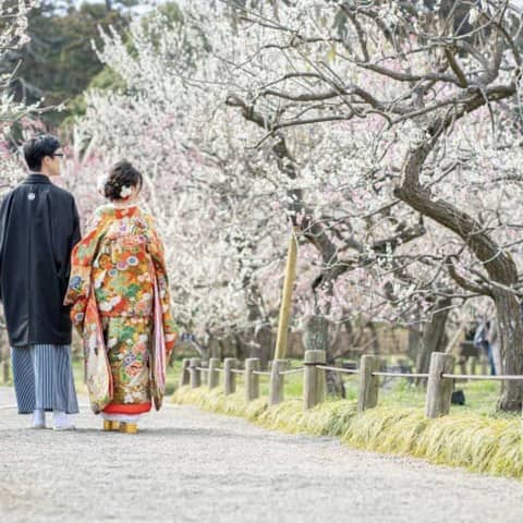 【2026年2月3月】梅ロケーションフォト×ご会食|6〜20名