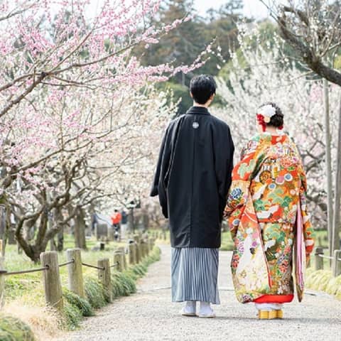 【2026年2月3月】フォト × 常磐神社挙式 × ご会食