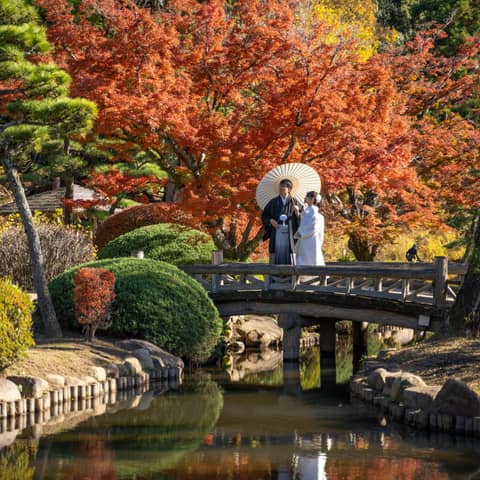 【11月】秋のロケーションフォト✕ご会食|6〜20名