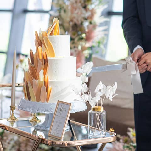 【2027年1月まで】40名219万円→173万円!ナイトプラン