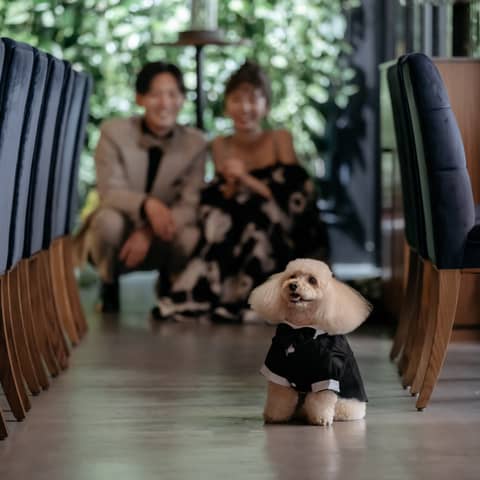 【WITHペット婚】大切な愛犬と一緒に