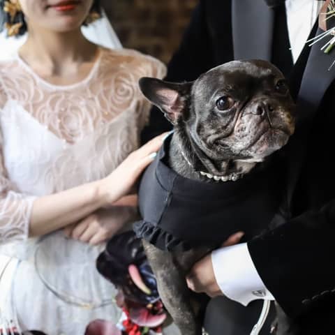 【WITHペット婚】大切な愛犬と一緒に