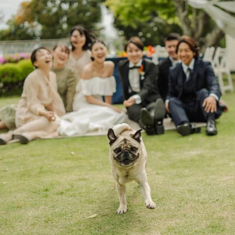 理想のガーデン結婚式を実現する!神奈川の結婚式場【AT TERRACE ninomiya 】