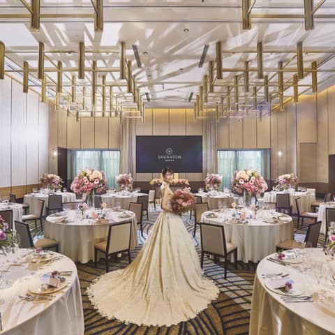 【2026年1月~2月までの期間限定特別プラン】60名244万円