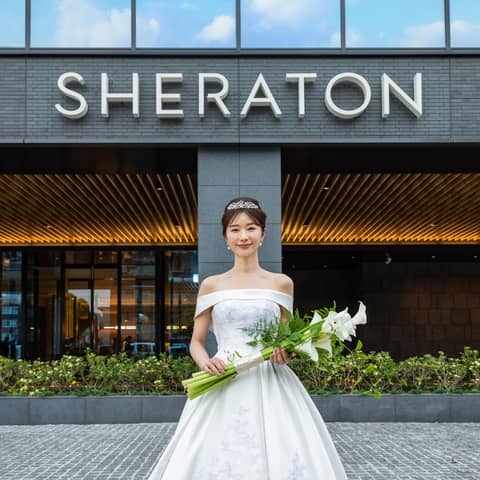 【2026年1月~2月までの期間限定特別プラン】60名244万円