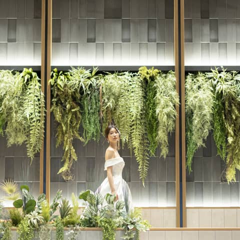 【2026年1月~2月までの期間限定特別プラン】60名244万円