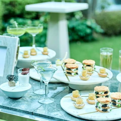 36万円ご優待【2027年1~2月】50名236万円*早割プラン