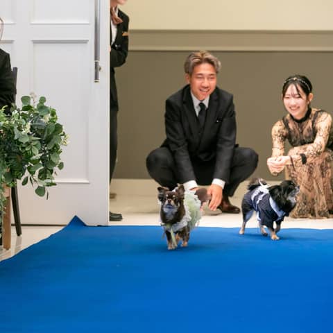 【ペット婚プラン】大切な記念日もペットと一緒に◇安心サポート付き