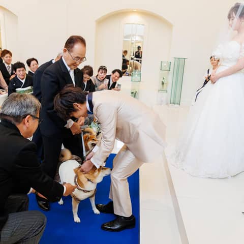 【ペット婚プラン】大切な記念日もペットと一緒に◇安心サポート付き