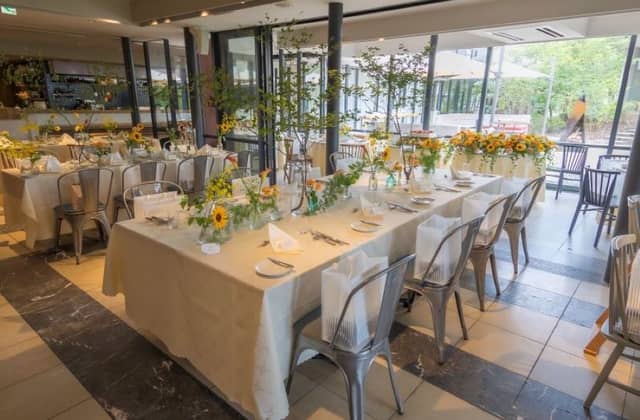 The TERRACE