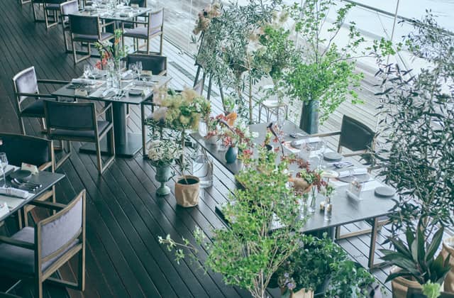 International cuisine subzero(サブゼロ)